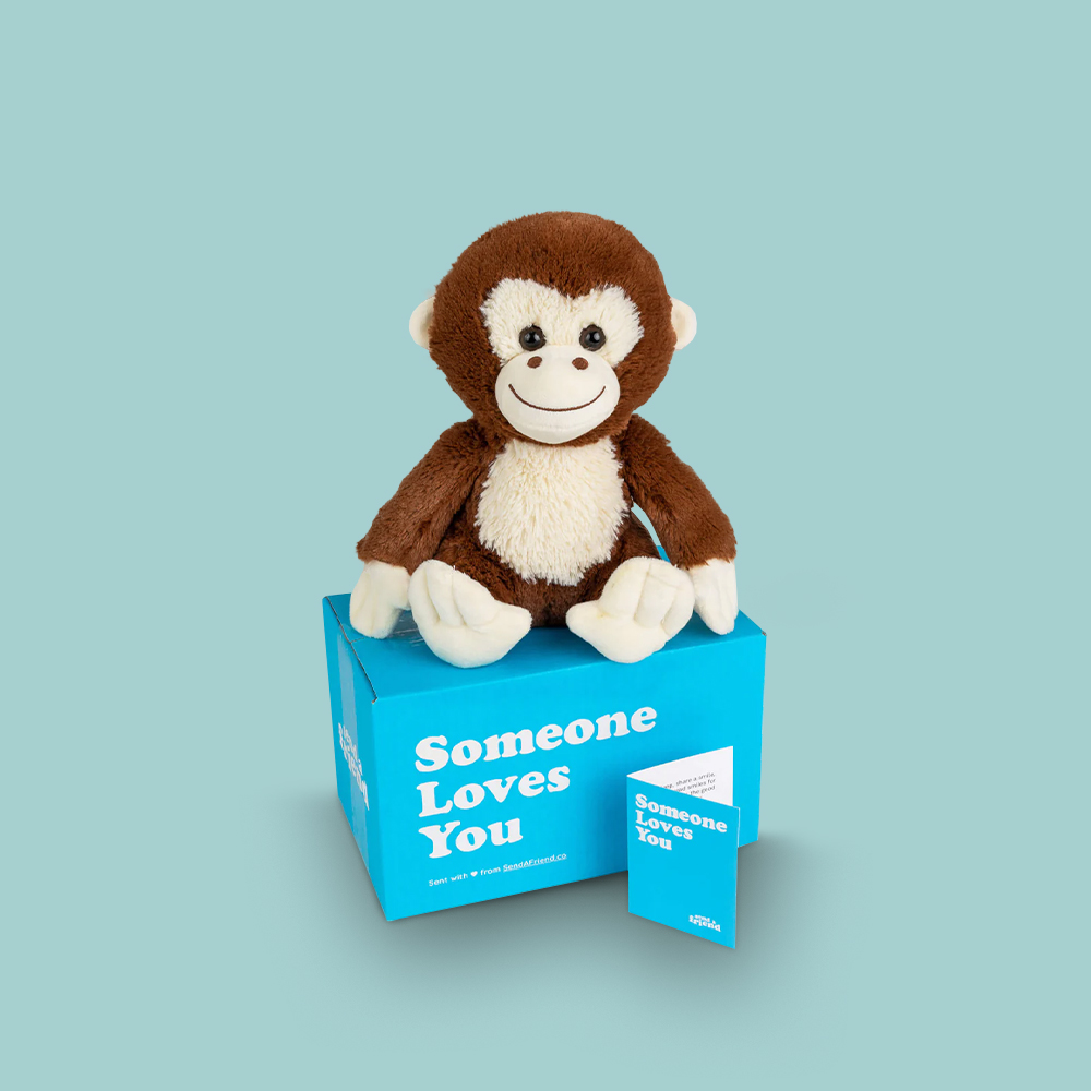 Pet Care Boxes - Image 3